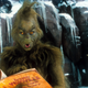 Image for article titled Excuse Me, But 'You're A Mean One, Mr. Grinch' Crosses the Line